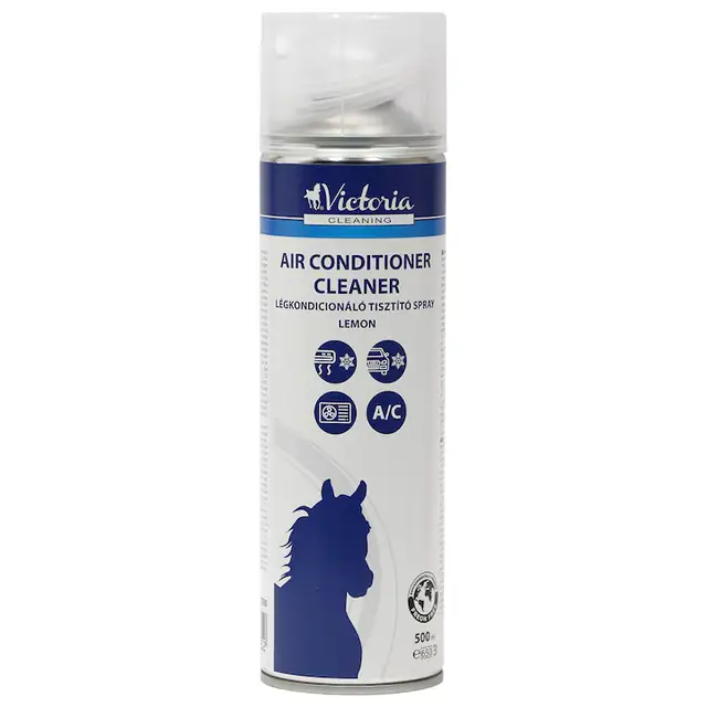 Spray aer conditionat Victoria Facility, 500 ml