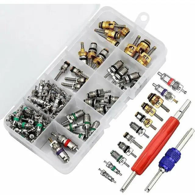 Set 102 piese valve de aer conditionat, AMRINUGL, inclusiv 100 valori si 2 unelte de indepartare, universal, aluminiu, plastic