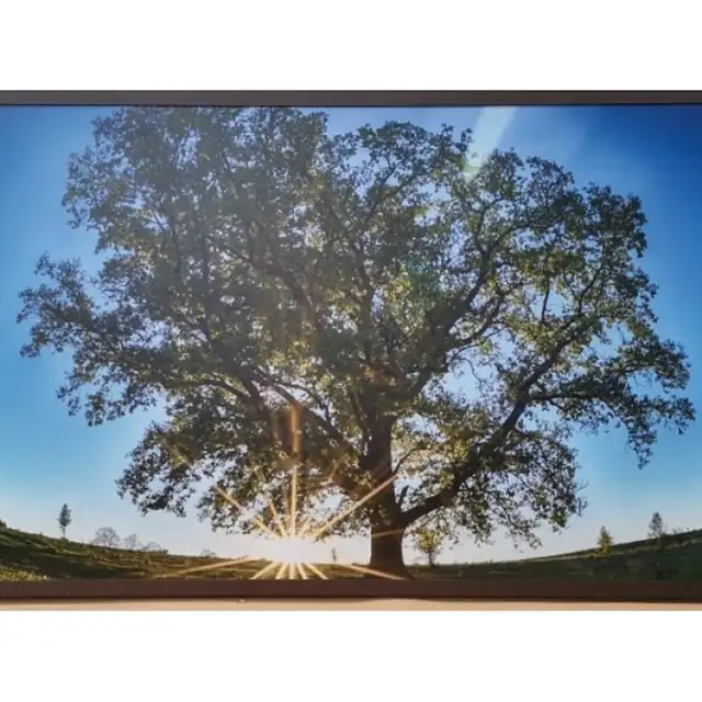 Panou radiant infrarosu DRAGUS, imprimat, imagine Copac Verde 60x60cm, 300W-250W, 5kg 5-15mc