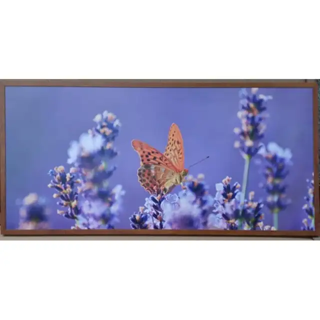 Panou radiant infrarosu DRAGUS, imprimat, imagine Fluture 125X60 cm, 900W-700W, 10 kg, 25-40 mc
