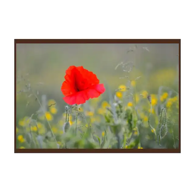 Panou radiant infrarosu, DRAGUS, personalizat 125/60cm 900W/700W 10kg 30-45mc