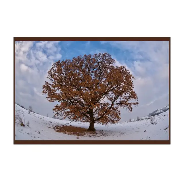 Panou radiant infrarosu, DRAGUS, personalizat 60/60cm 300W/250W 5kg 5-15mc